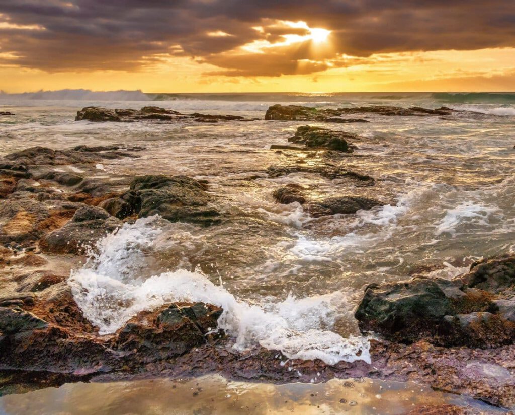Ocean Sunset by Duncan Gray