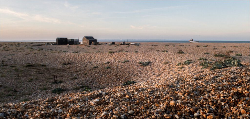 Dungeness: Keith Vincent