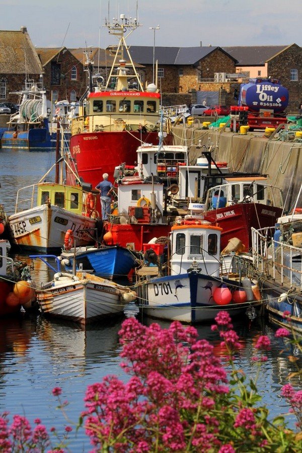 Fishing Boats At Howth Harbour by Dave G