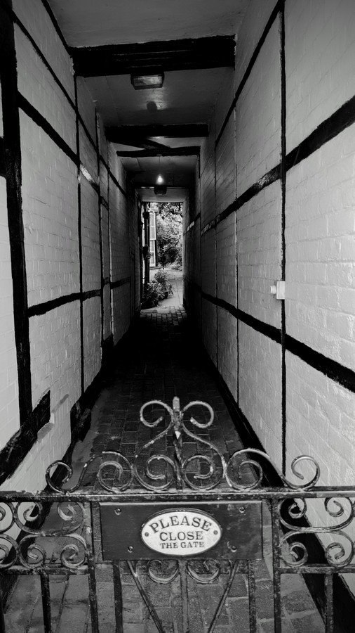 The alley. Darren Price