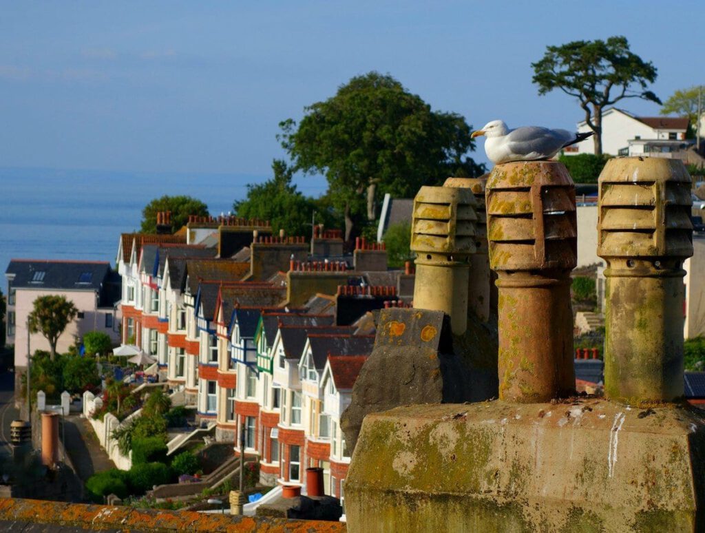 View from Chimney Pots by Helen