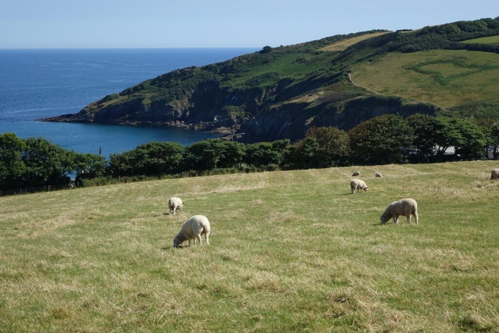 Cornish Landscape: Alan Hillman. 