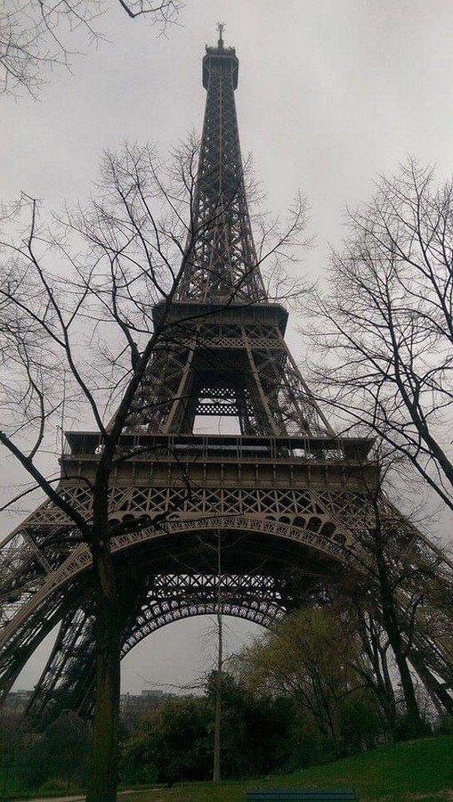 The Eiffel Tower - Carly Price 