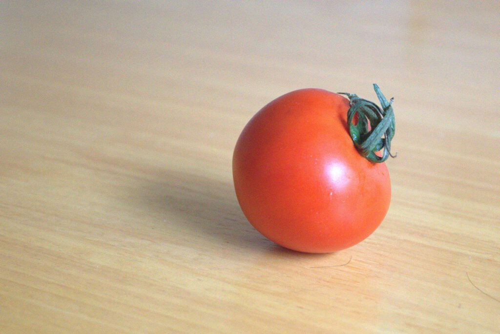 Lonely Tomato by Ken Johnson