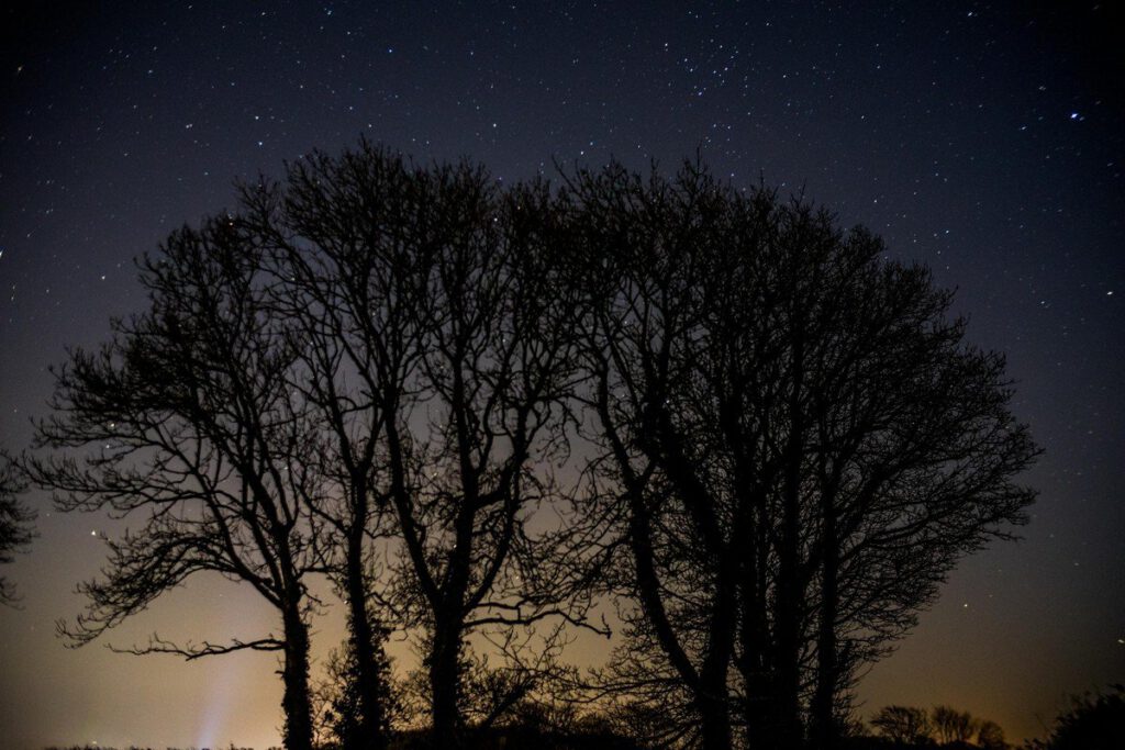 Night by Rob Tew