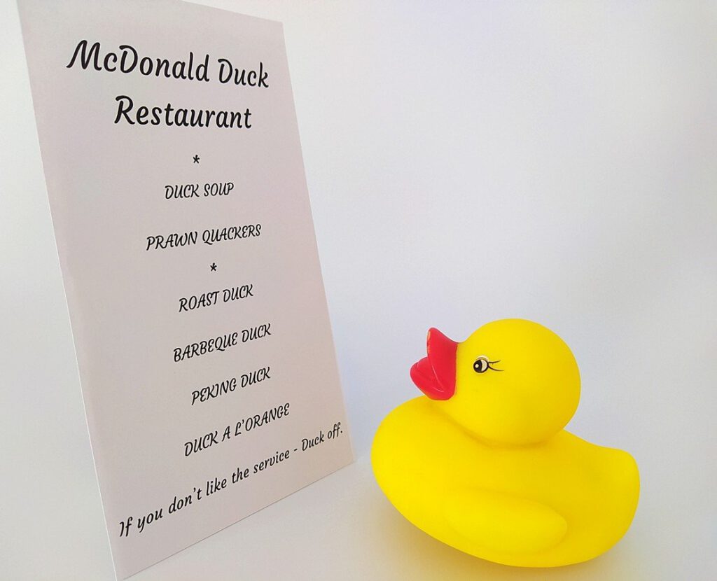 McDonald Duck by Richard Holmes