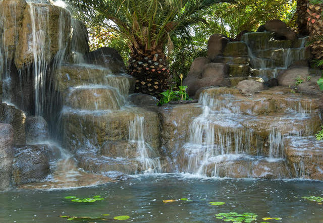 Water Feature At Oasis Park by Wendy Kerr