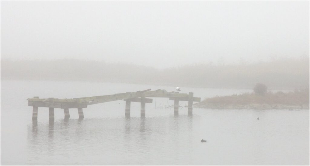 Derelict Pier on a Misty Morning by Keith Vincent