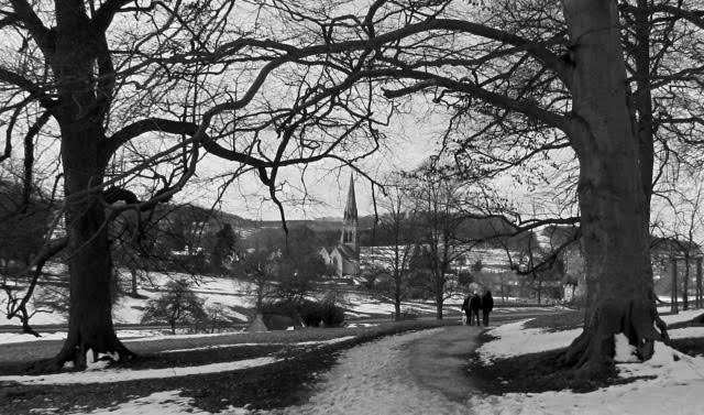 Winter Walk at Chatsworth by Adrian Egelton