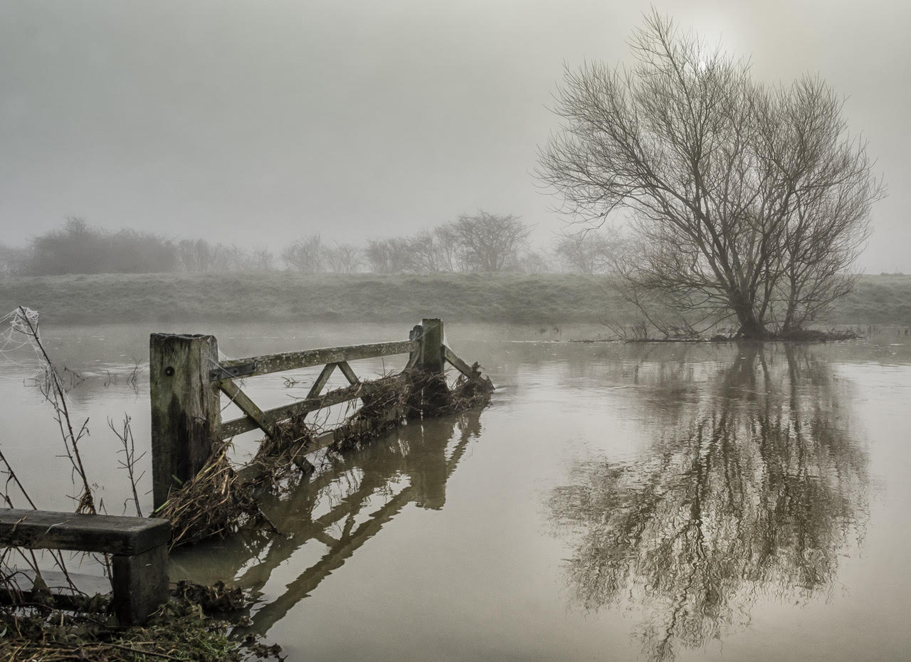 Gateway to the River Witham by Colin Bramer