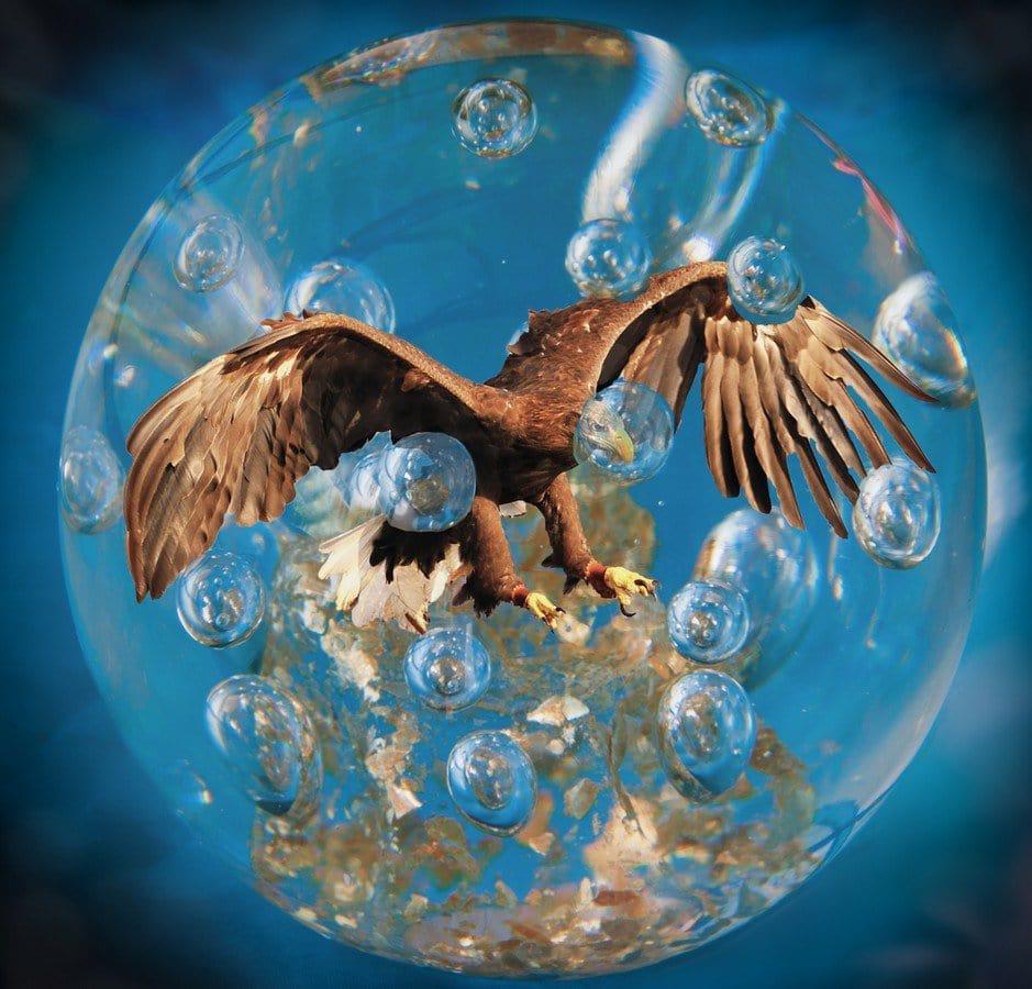 Sea Eagle in Glass by Duncan Grey