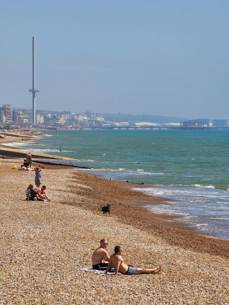 BRIGHTON-EYE_Alan-Hillman