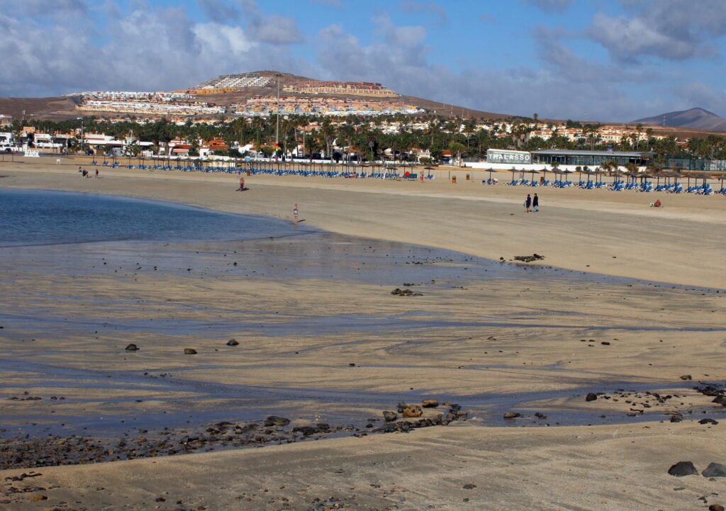 TIDES-OUT_David-Patton