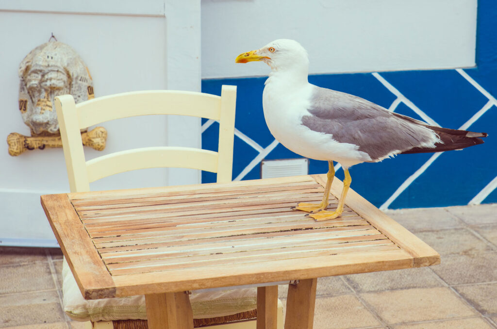 WHERE-IS-MY-FOOD_Keith-Dawson