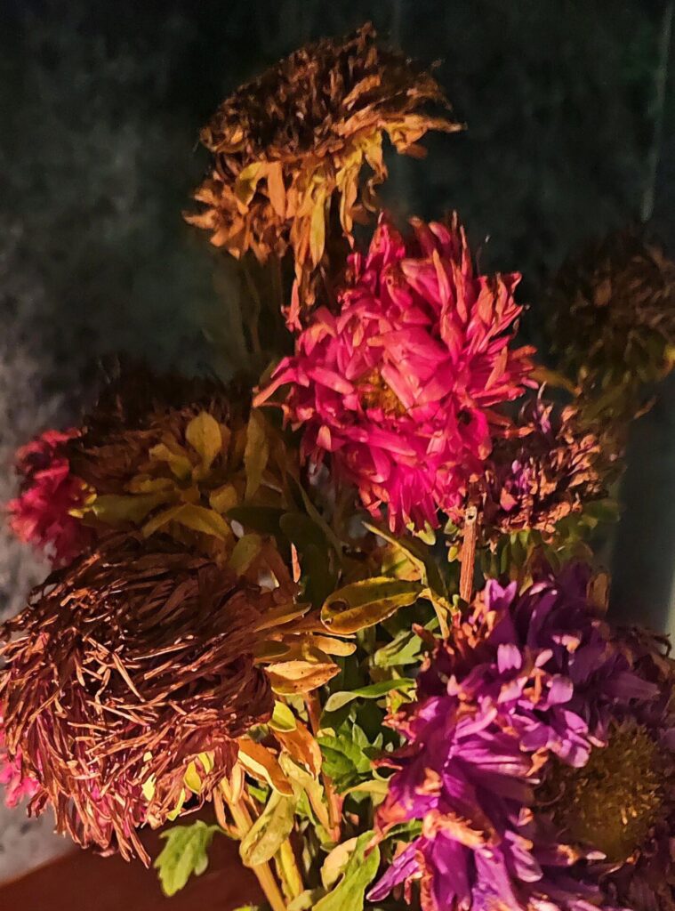 DEAD ASTERS_ Helen Hillman