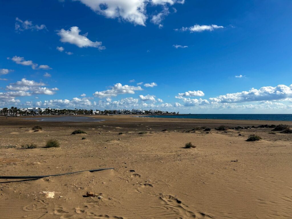 FOOTSTEPS IN THE SAND_David Patton