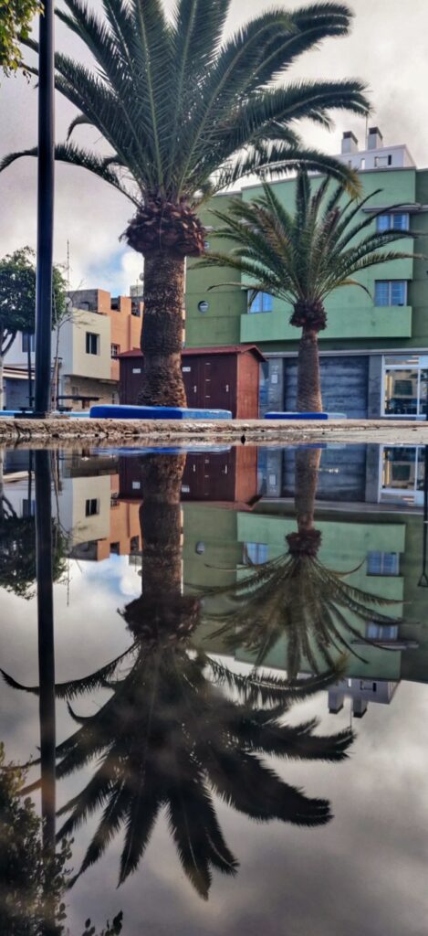 PUDDLE REFLECTION_Duncan Gray