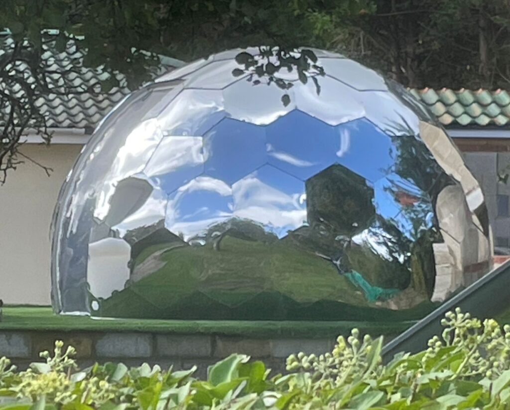 REFLECTIONS IN A GLASS DOME_Larry Coleman