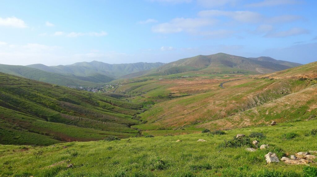 HOW GREEN IS MY VALLEY_ Helen Hillman