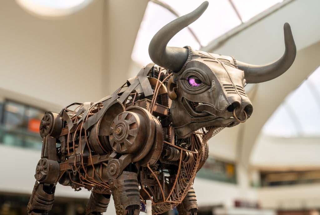 BIRMINGHAMS BULL_Wendy Kerr
