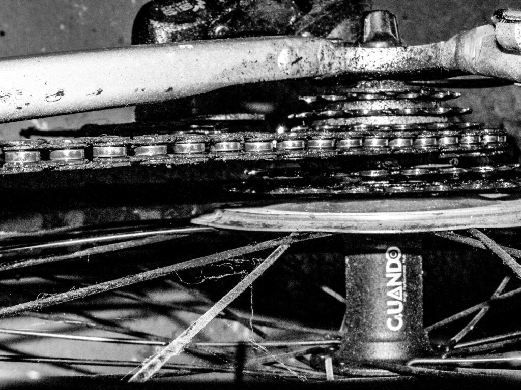 GEARED UP_Lee Mullins