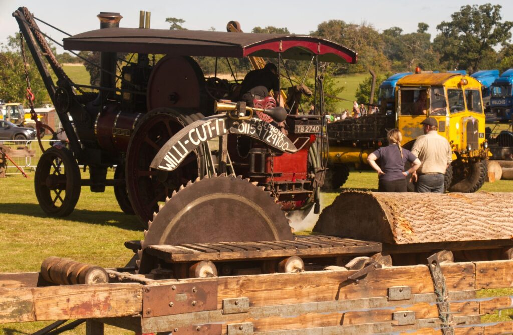 TIMBER CUTTER_Larry Coleman