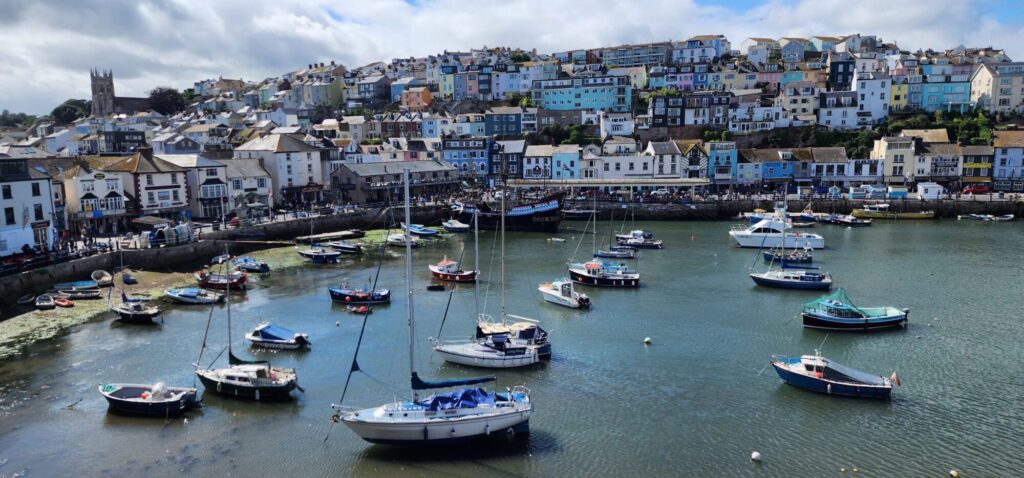 BRIXHAM HARBOUR_Alan Hillman - Commended