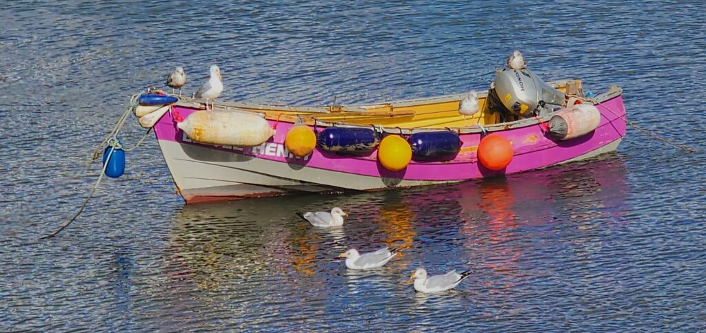 COLOURED BOAT_Alan Hillman