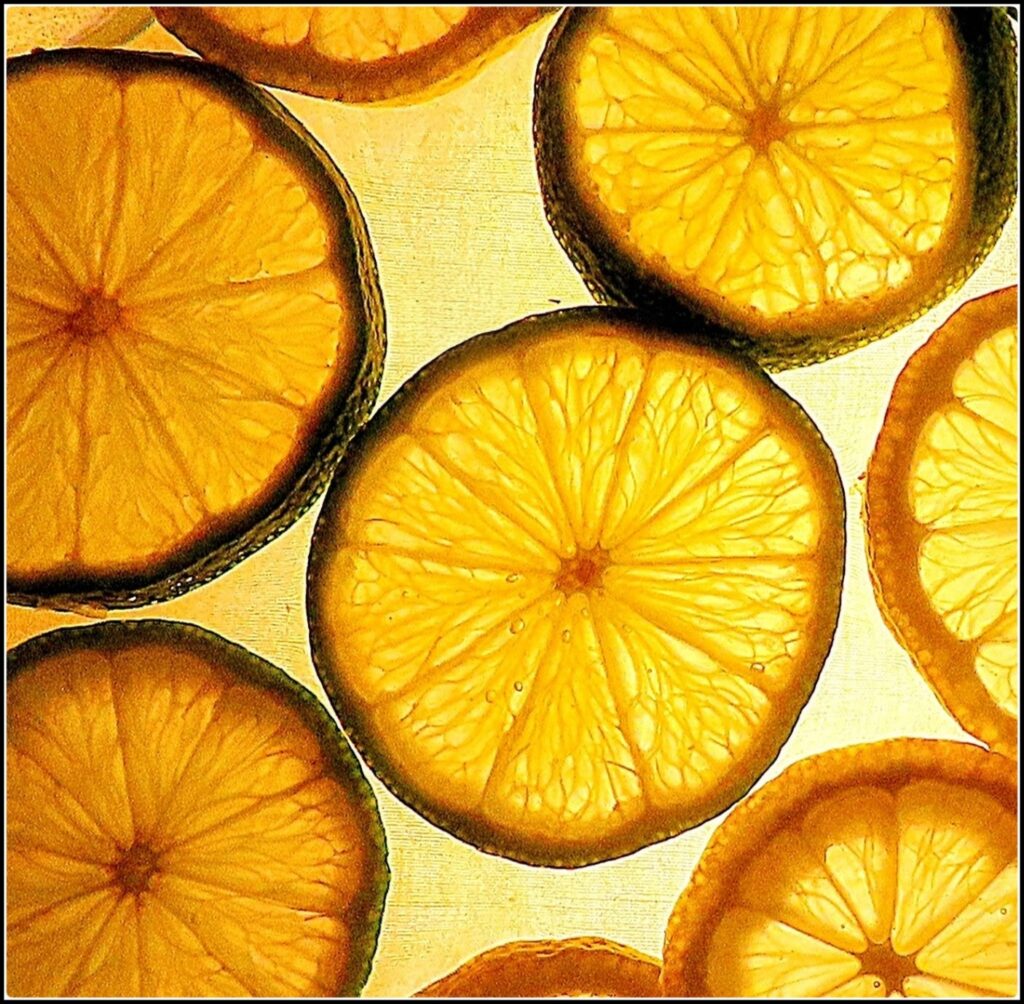 FLOATING CITRUS_Helen Hillman - Highly Commended